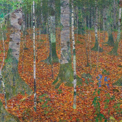 The Birch Wood, 1903 by Gustav Klimt canvas print