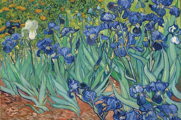 Jordy Blue: Irises, 1889 by Vincent van Gogh