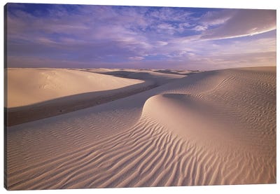 Sand Dunes Of Fine Gypsum Particles Textured By Wind, White Sands National Monument, New Mexico Canvas Art Print