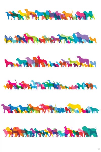 Dogs II by Yoni Alter acrylic art print