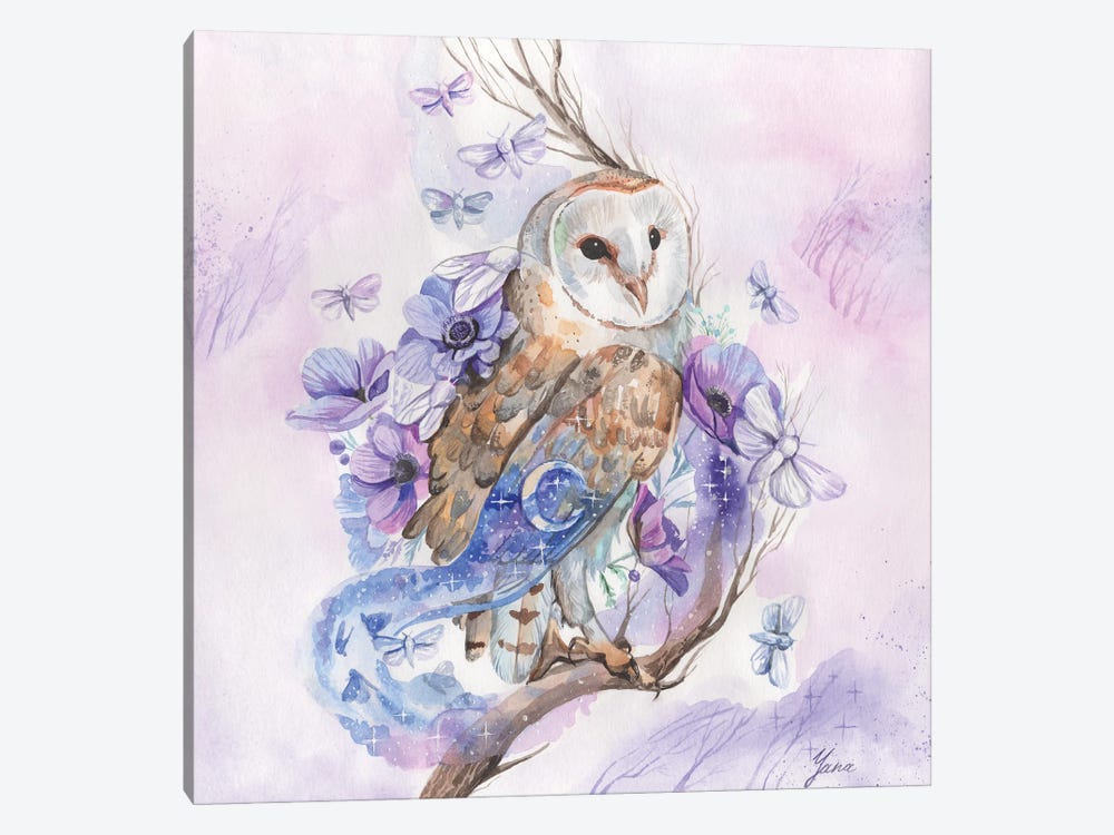 Barn Owl And Night Moths by Yana Anikina 1-piece Canvas Art Print