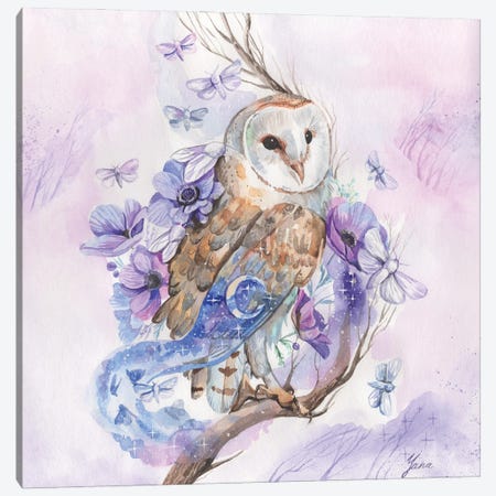 Barn Owl And Night Moths Canvas Print #YAN33} by Yana Anikina Canvas Art
