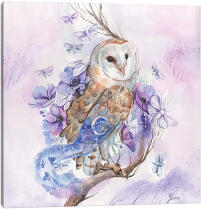 Barn Owl And Night Moths Canvas Art Print