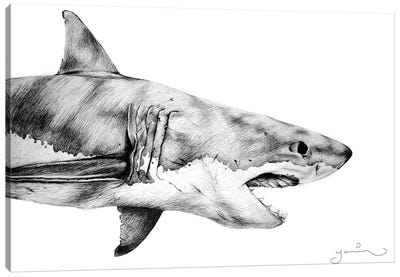 Great White Canvas Art Print - Shark Art