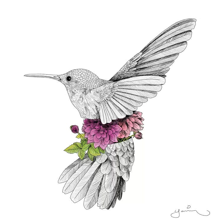 Hummingbird And Dhalias Canvas Print by Yanin Ruibal | iCanvas