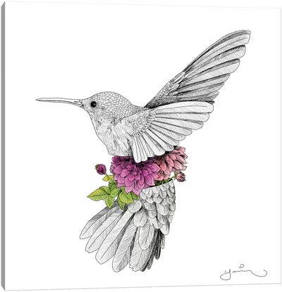 Hummingbird And Dhalias Canvas Art Print - Yanin Ruibal