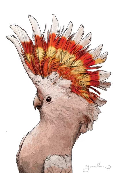 Yanin Ruibal: Pink Cockatoo by Yanin Ruibal