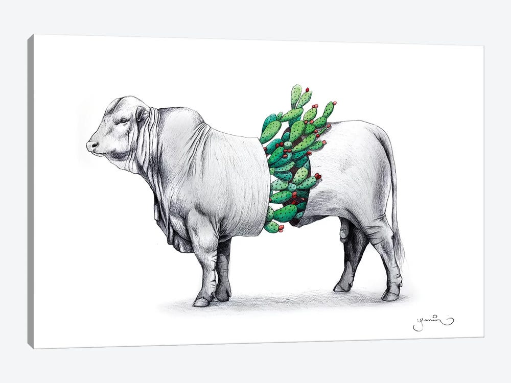 Prickly Bull by Yanin Ruibal 1-piece Canvas Wall Art