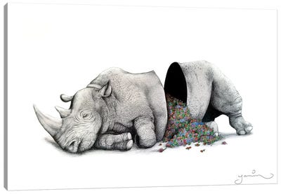 Sleeping Rhino Piñata Canvas Art Print - Embellished Animals