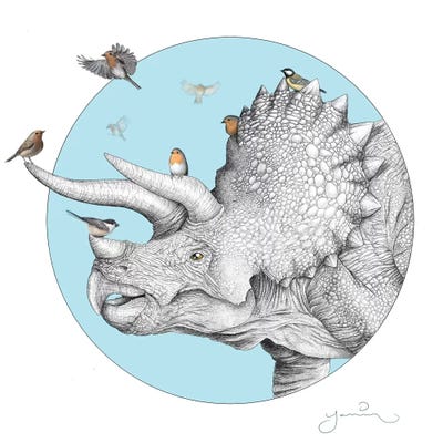 Triceratops And Birdies by Yanin Ruibal framed wall art