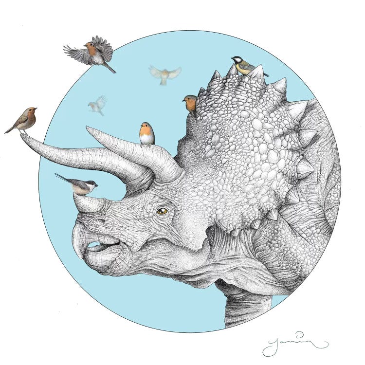 Triceratops And Birdies