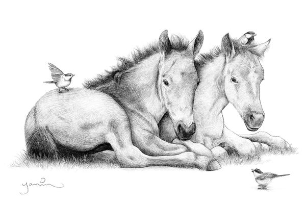 Yanin Ruibal: Twins by Yanin Ruibal