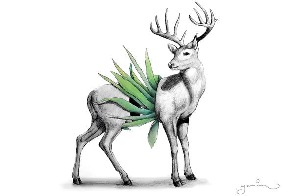 Embellished Animals: Whitetail by Yanin Ruibal