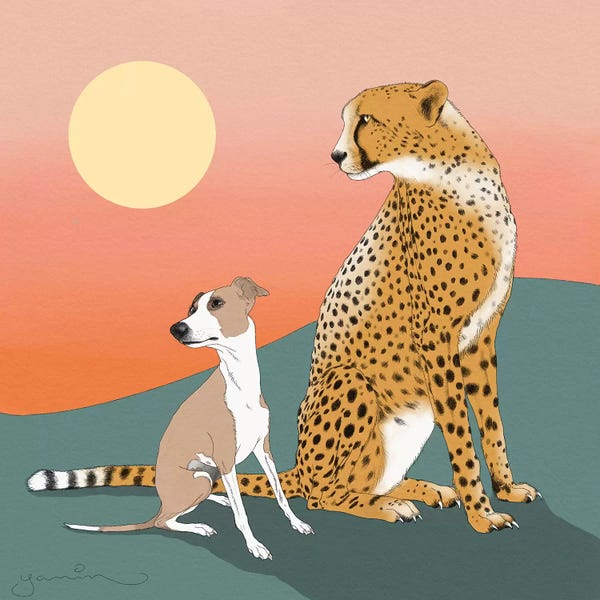 Cheetahs: Aurelio And A Cheetah by Yanin Ruibal