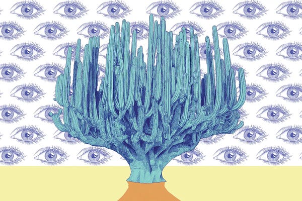 Yanin Ruibal: Giant Cactus by Yanin Ruibal