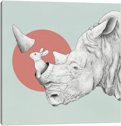 Rhino Canvas Art Print - Yanin Ruibal