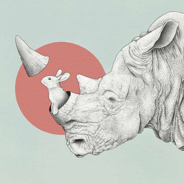 Yanin Ruibal: Rhino by Yanin Ruibal