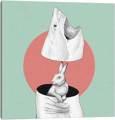 Shark N Bunny Canvas Art Print - Yanin Ruibal