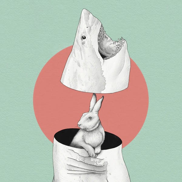 Yanin Ruibal: Shark N Bunny by Yanin Ruibal