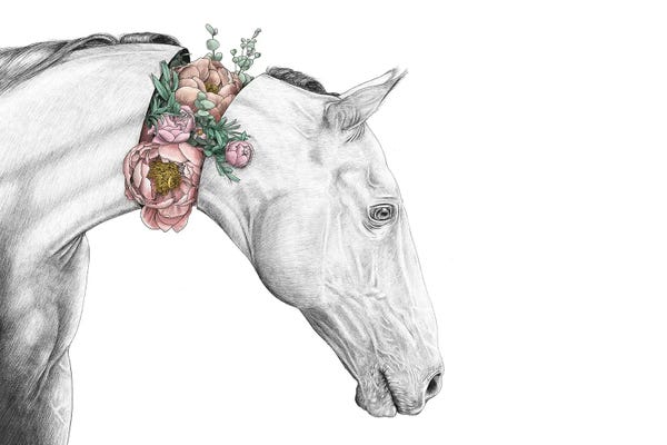Yanin Ruibal: Horse by Yanin Ruibal