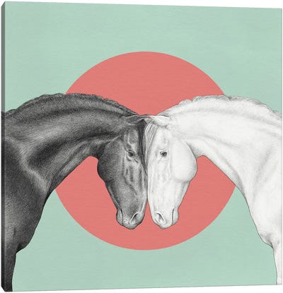 Black And White Horses Canvas Art Print - Yanin Ruibal