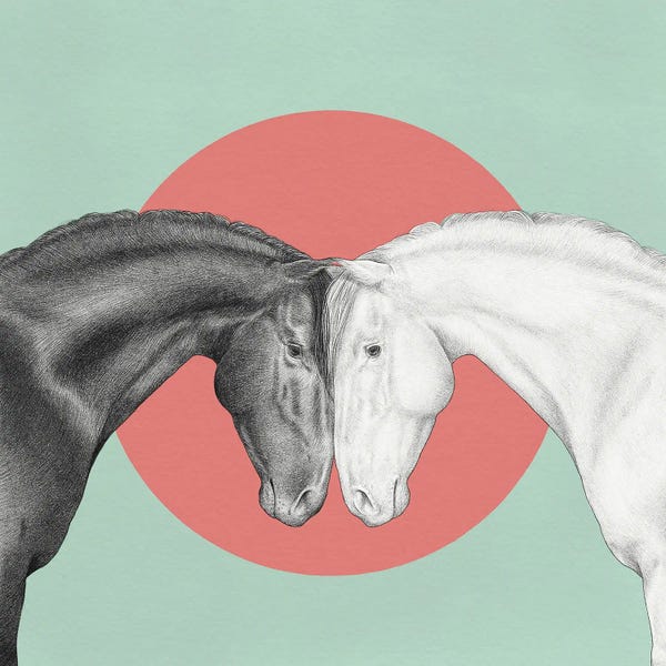 Yanin Ruibal: Black And White Horses by Yanin Ruibal