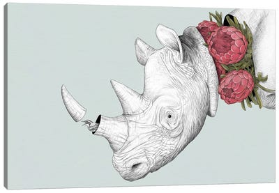 Rhino And Proteas Canvas Art Print - Yanin Ruibal