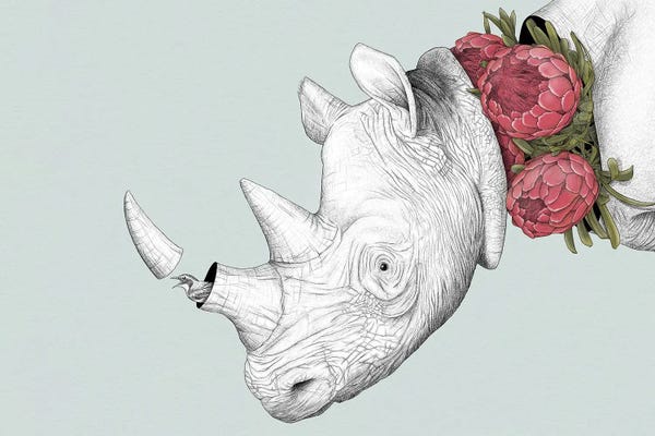 Protea: Rhino And Proteas by Yanin Ruibal