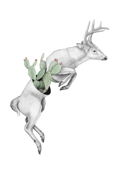 Embellished Animals: Whitetail II by Yanin Ruibal