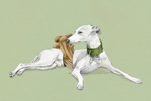 Yanin Ruibal: Aurelio Green Background by Yanin Ruibal