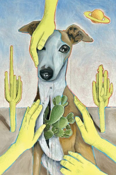 Whippets: Consent by Yanin Ruibal
