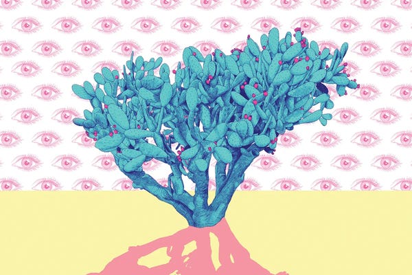 Yanin Ruibal: Nothing To Prove II by Yanin Ruibal