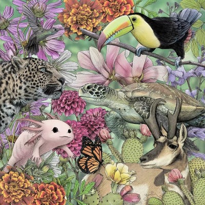 Flora And Fauna Of Mexico by Yanin Ruibal art print
