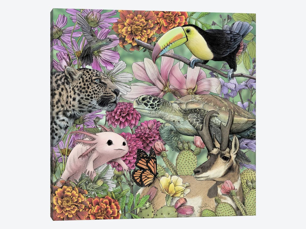 Flora And Fauna Of Mexico by Yanin Ruibal 1-piece Canvas Art