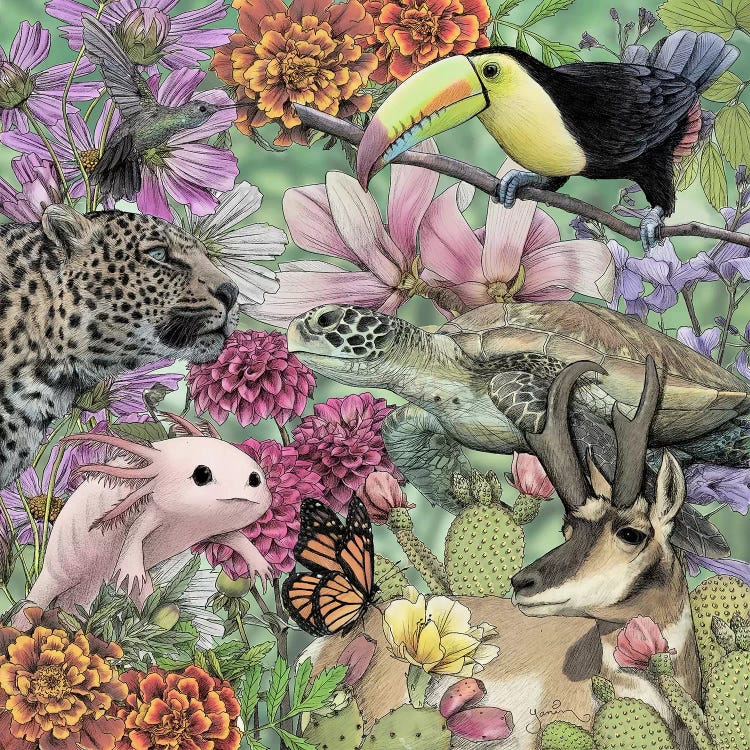 Flora And Fauna Of Mexico by Yanin Ruibal wall art