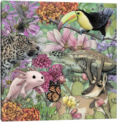 Flora And Fauna Of Mexico Canvas Art Print - Yanin Ruibal