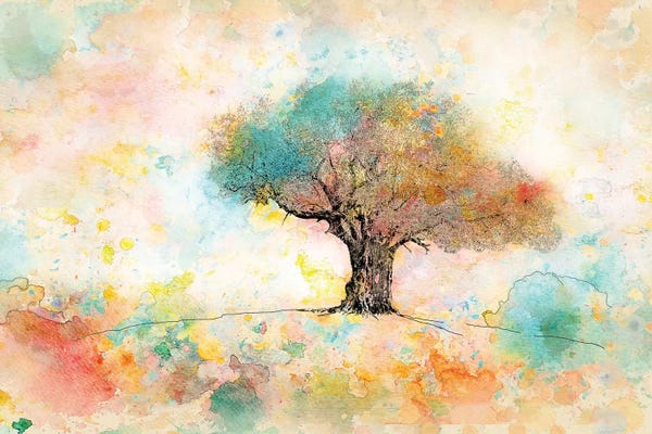 Ynon Mabat: Citrus Tree by Ynon Mabat