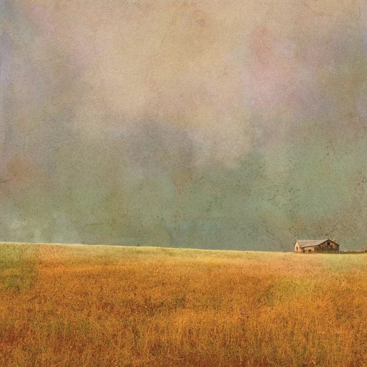After The Rain by Ynon Mabat wall art