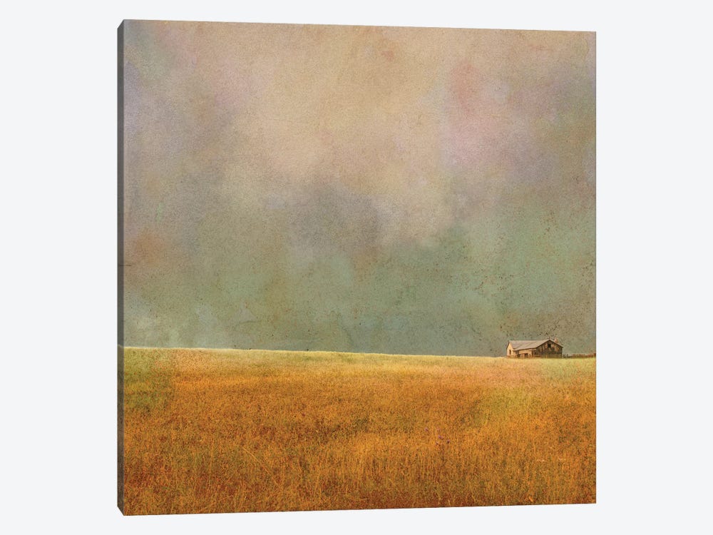 After The Rain by Ynon Mabat 1-piece Canvas Print