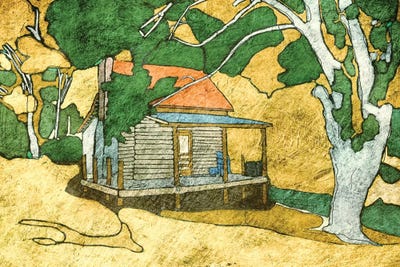 Forest Cabin by Ynon Mabat canvas print