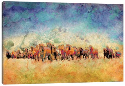 Horse Herd Canvas Art Print