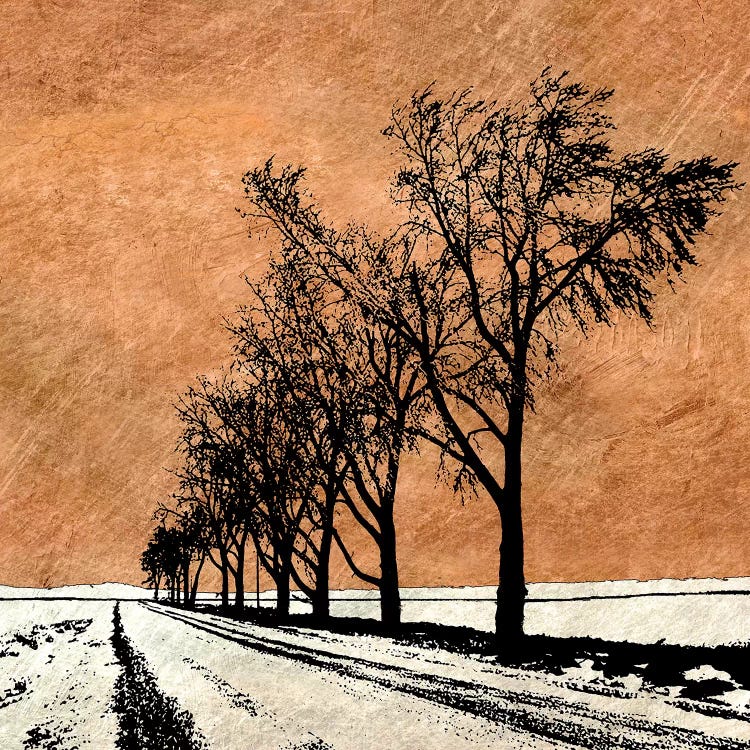 Minimalist Dream by Ynon Mabat wall art