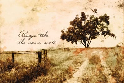 Always Take The Scenic Route by Ynon Mabat framed wall art