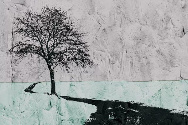 Ynon Mabat: Near The Road by Ynon Mabat