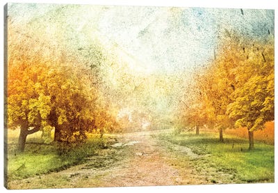Oak Path Canvas Art Print - Oak Tree Art