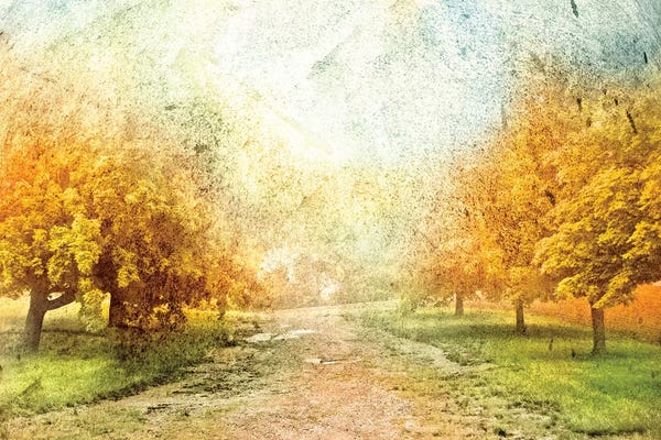 Ynon Mabat: Oak Path by Ynon Mabat