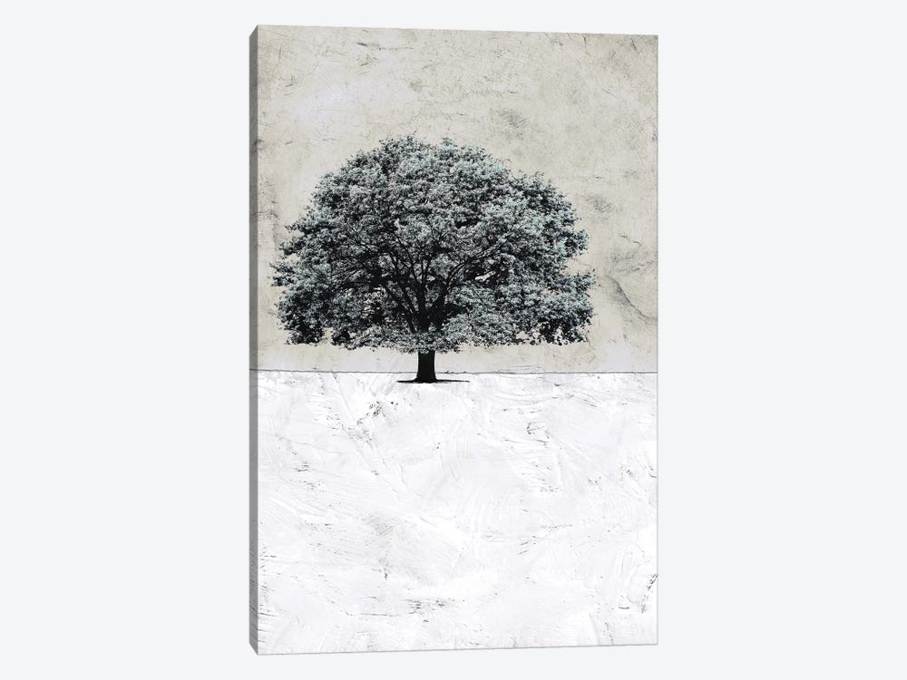 Old Black Tree by Ynon Mabat 1-piece Canvas Print