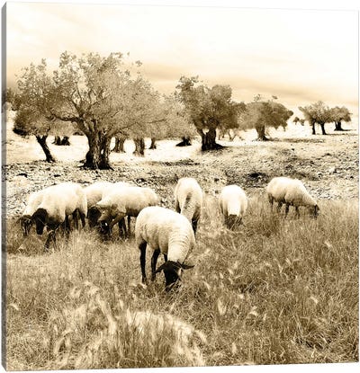 Out In The Fields Canvas Art Print