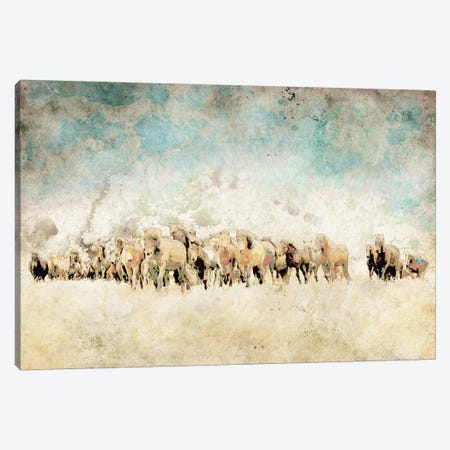 Roaming Horses Canvas Print #YBM58} by Ynon Mabat Art Print