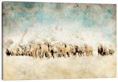 Roaming Horses Canvas Art Print